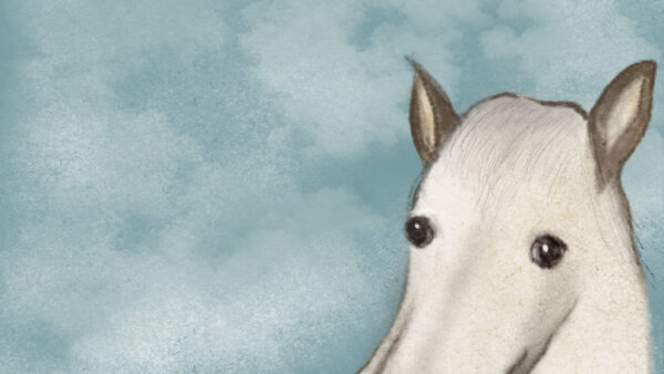 【活動紹介】ふわもこ大使さん｜美容室さまの年賀状に採用されました！