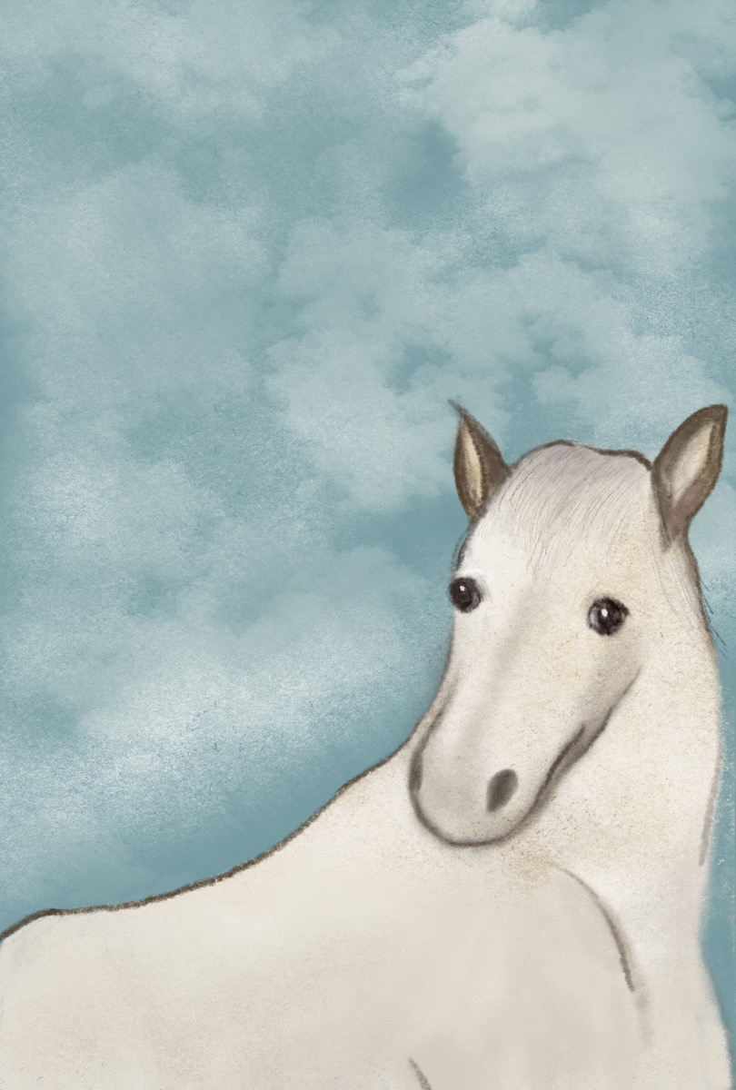 【活動紹介】ふわもこ大使さん|美容室さまの年賀状に採用されました!